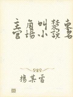 主角叫楚东恒的官场小说名字