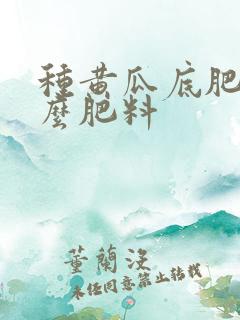 种黄瓜底肥用什么肥料