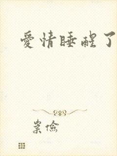 爱情睡醒了全集