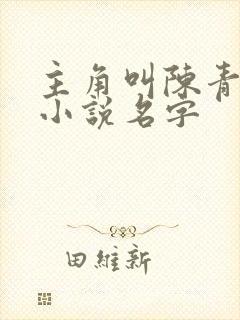 主角叫陈青阳的小说名字