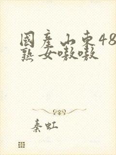 国产山东48老熟女嗷嗷