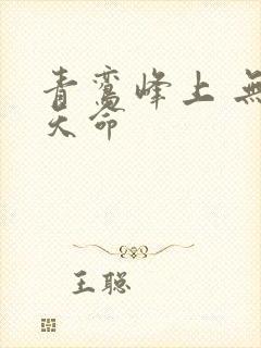 青鸾峰上 无敌天命