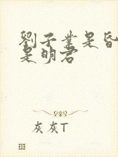 刘子业是昏君还是明君