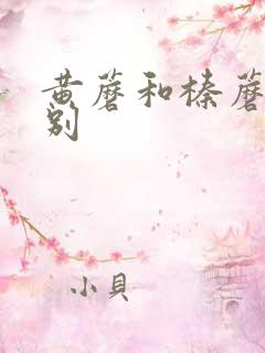 黄蘑和榛蘑的区别