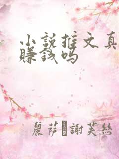 小说推文真的能赚钱吗