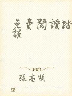 免费阅读踏星小说