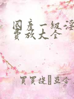 国产一级淫片免费放大全