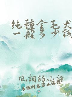 纯种金毛犬幼犬一般多少钱