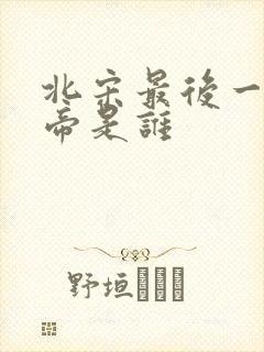 北宋最后一个皇帝是谁