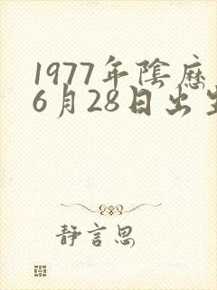1977年阴历6月28日出生算命