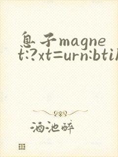 息子magnet:?xt=urn:btih: