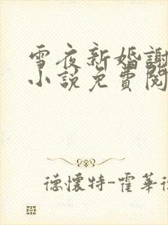 雪夜新婚谢迟宴小说免费阅读