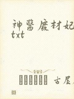神医废材妃连玦txt