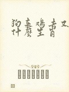 狗来鸡去又一年什么生肖