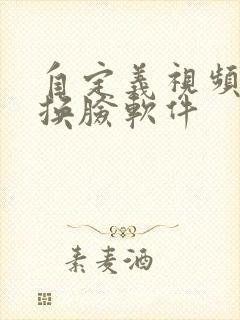 自定义视频ai换脸软件