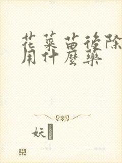 花菜苗后除草剂用什么药