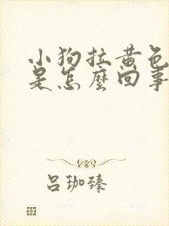 小狗拉黄色的尿是怎么回事