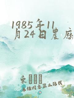 1985年11月24日农历生辰八字