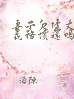 妻子欠债丈夫有义务偿还吗