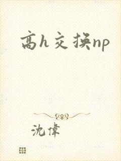高h交换np 高h交换np