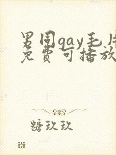 男同gay毛片免费可播放
