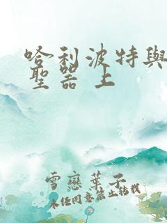 哈利波特与死亡圣器 上