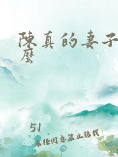 陈真的妻子叫什么
