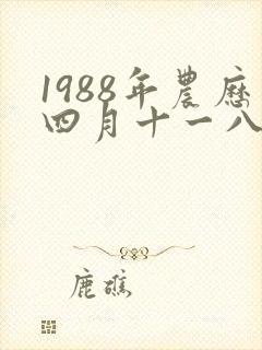 1988年农历四月十一八字算命