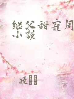 继父甜宠周阮的小说 继父甜宠周阮的小说