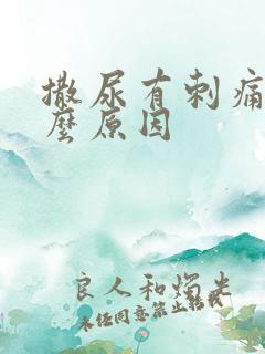 撒尿有刺痛感什么原因
