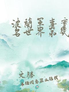 波兰军事实力排名世界第几