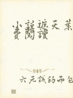 小说遮天叶凡免费阅读