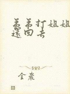 弟弟打姐姐怎么还回去