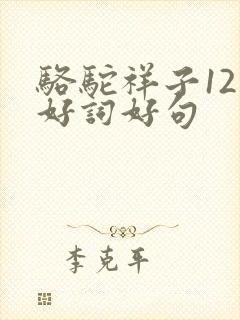 骆驼祥子12章好词好句