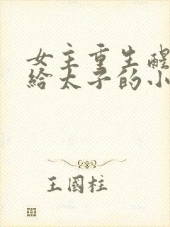 女主重生醒悟嫁给太子的小说