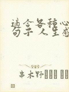 适合各种心情的句子 人生感悟