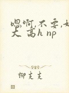 嗯啊,不要,好大 高h np
