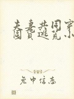 夫妻共同穿越的囤货逃荒小说