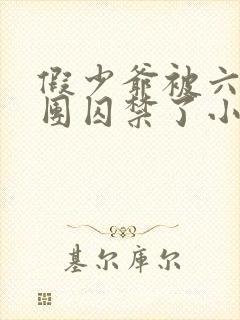 假少爷被六个哥团囚禁了小说