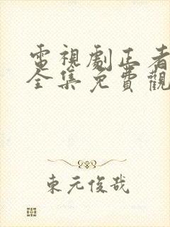 电视剧正者无敌全集免费观看 电视剧正者无敌全集免费观看