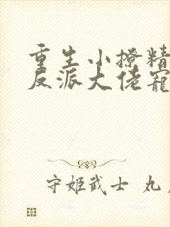 重生小撩精我把反派大佬宠娇了