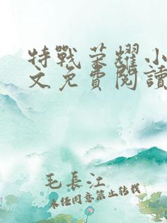 特战荣耀小说全文免费阅读