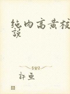 纯肉高黄校园小说