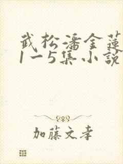武松潘金莲肉欲1一5集小说