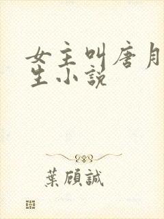 女主叫唐月的重生小说