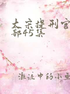 大宋提刑官第三部45集