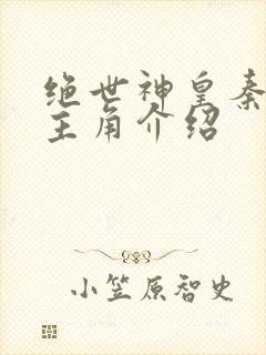 绝世神皇秦轩女主角介绍 绝世神皇秦轩女主角介绍