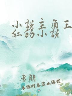 小说主角王平全红的小说