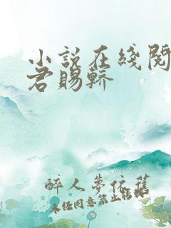 小说在线阅读请君赐轿