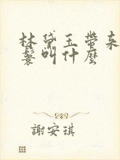 林黛玉带来的丫鬟叫什么